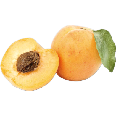 Natural Delicious Apricot Tree Seeds - 5 Pcs image