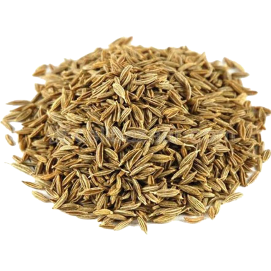 Nature Leaf Cumin Seed (Jira) Whole -100 gm Pack image