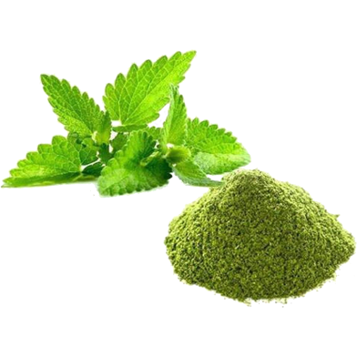 Nature Leaf Pudina Pata Gura (Mint Leaf Powder)- 100 gm image