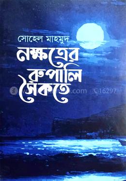নক্ষত্রের রূপালি সৈকতে image
