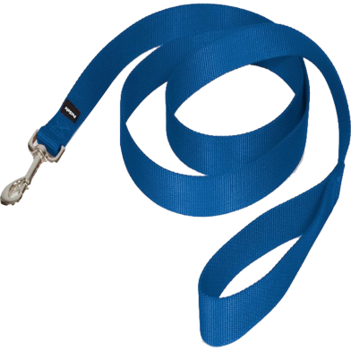 Nylon Dog Leash – Strong, Durable, Traditional Style Leash image