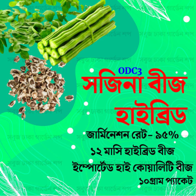 ODC 3 Hybrid Moringa Seed 10 gm image
