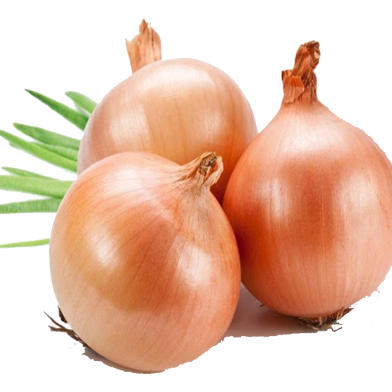 Onion Seeds Hybrid Quality - 50 Pcs image