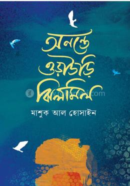 অনন্তে ওড়াউড়ি ঝিলমিল
