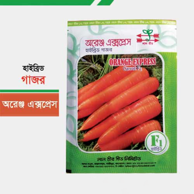 Orange Express Hybrid Carrot Seeds (10gm) image