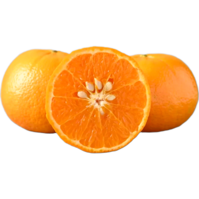 Orange Fruit Tree Seeds - 10 Pcs image