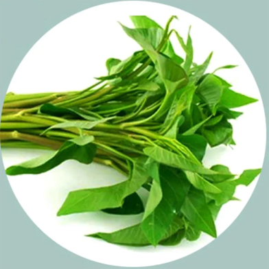 Organic Kangkong Water Spinach - 20 Pcs Seeds image