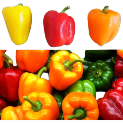 Organic Mix Capsicum Seeds - 10 Pcs image