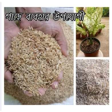 Organic Natural Rice Plant Rice Husk Gardening 250gm image