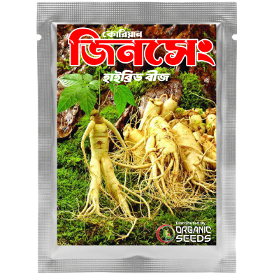 Original Korean Ginseng Chinese Hardy Panax Ginseng Korea Bonsai King Herbs High-Nutrition Vegetable Seeds-3 Pcs image