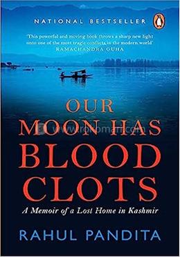 Our Moon has Blood Clots image