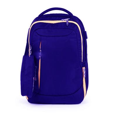 PRESIDENT Laptop /Office/School/Travel/Business Backpack / Size 18 image