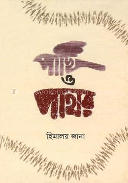 পাখি ও পাথর 