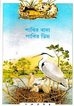 পাখির বাসা পাখির ডিম 