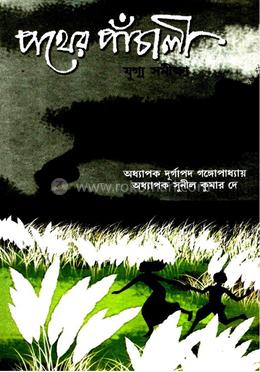 পথের পাঁচালী যুগ্ম সমীক্ষা