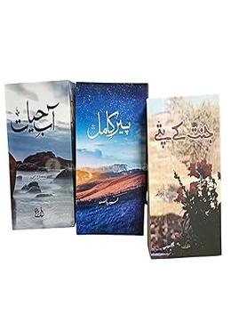 পির ই কামিল, আবে হায়াত, জন্নাত কে পাত্তে উর্দু নভেলস - Pack of 3