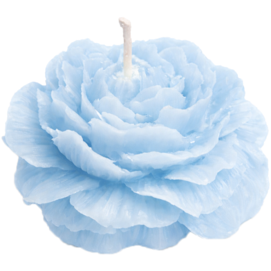 Peony Jasmine Scented Candle image