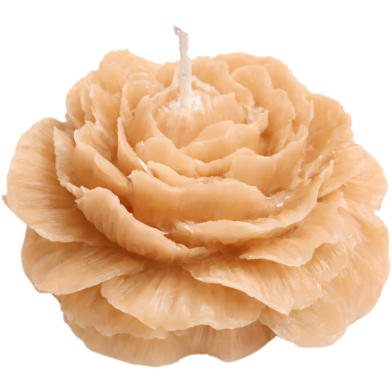 Peony Sandalwood Scented Candle image