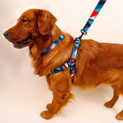 Pet Abstract Chest and Harness Set, Dog Webbing Leash, Dog Walking Leash image