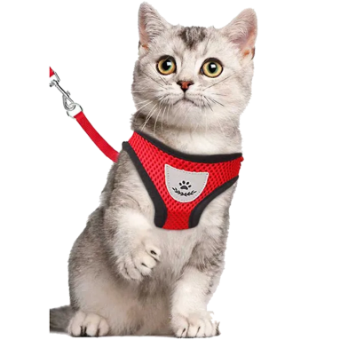 Pet Harnesses Cat Traction Lash Vest Cat Chest Lash Is Reflective At Night To Prevent Breaking Away From The Walking Cat Leash image