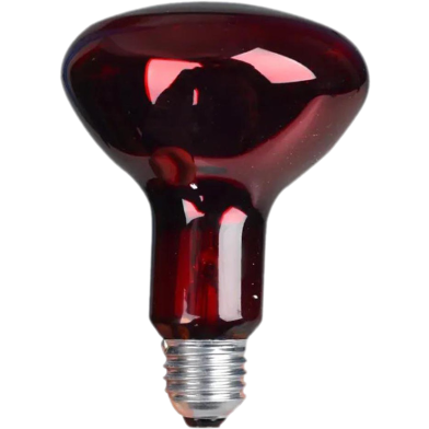 Philips Infrared Physiotherapy Bulb Heat Therapy Lamp IR RED E27 PAR38 R95 100W image