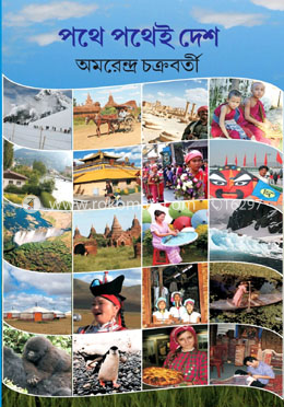 পথে পথেই দেশ