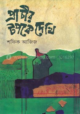 প্রাচীর টপকে দেখি image