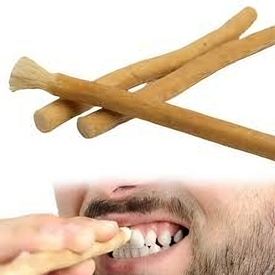 Premium Sunnah Miswak Fresh Peelu Stick For Teeth Whitening And Oral Care Slide 2