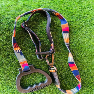 Printed Dog Collar And Leash Set image