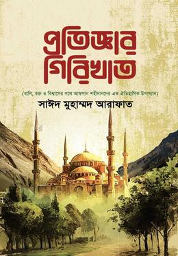 প্রতিজ্ঞার গিরিখাত image