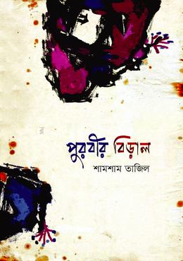 পুুরবীর বিড়াল image