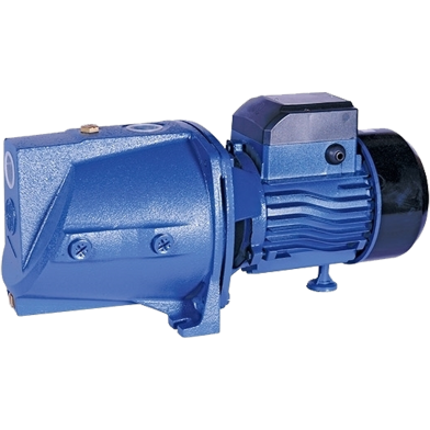 RFL Water Pump RSJ-10M 1x1 Inch - 1HP image