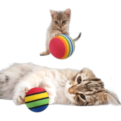 Rainbow Cat Ball Toy image