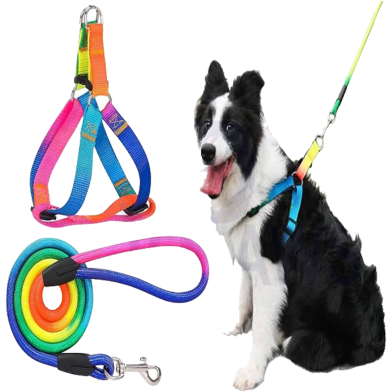Rainbow Colour Dog Harness and Leash Set Adjustale Dogs image