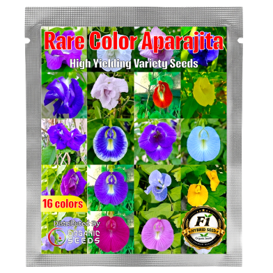 Rare Color Oporajita Seeds 0.1 gm image