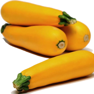 Rare Garden Gold Squash Tree Seeds - 5 Pcs image