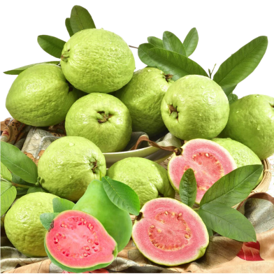 Rare Guava Seeds image