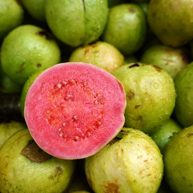 Rare Sweet Guava Seeds - 20 Pcs image