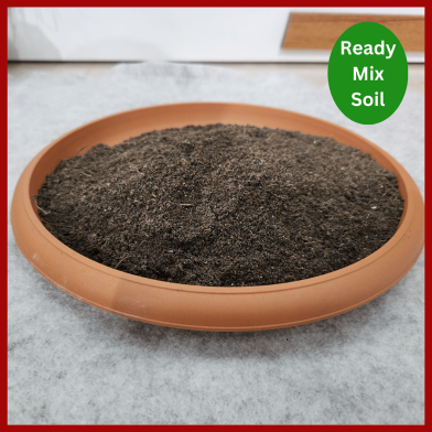 Ready Mix Soil Premium Quality for Fruit Plants | Best Soil for Gardening image
