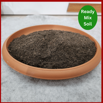 Ready Mix Soil Premium Quality for Vegetable Plants | Best Soil for Gardening image