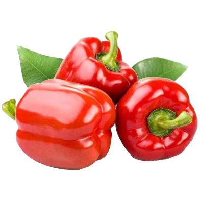 Red Capsicum Seeds Hybrid Re-Pack - 5Pcs image