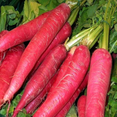 Red Carrot Organic Seeds - 50 Pcs image