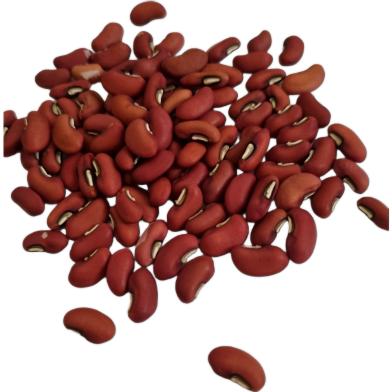 Red Hybrid Long Bean - 10 Pcs Seeds image