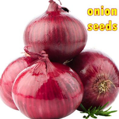 Red Hybrid Onion Seeds 1 gm Re-Pack image