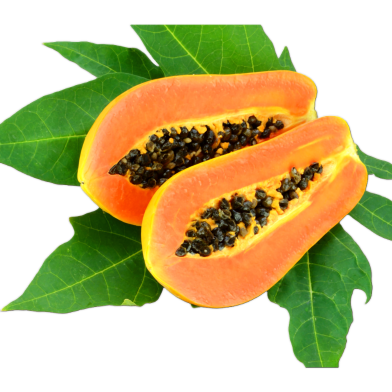 Red Master Papaya Seeds Intact Pack image