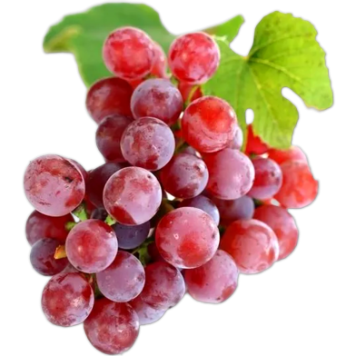Red Pearl Raisin Grape Seeds 15 Pcs image