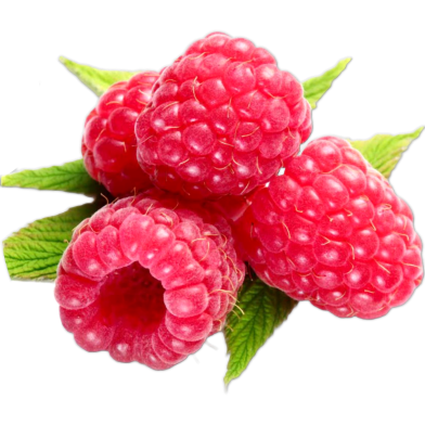 Red Raspberry Bonsai Seeds 20 Pcs image