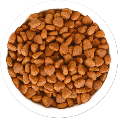 Repack - Jungle Adult Cat Food 1Kg | Repack Cat Food image