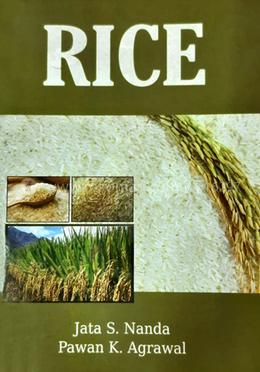 Rice