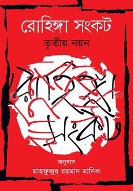 রোহিঙ্গা সংকট : তৃতীয় নয়ন